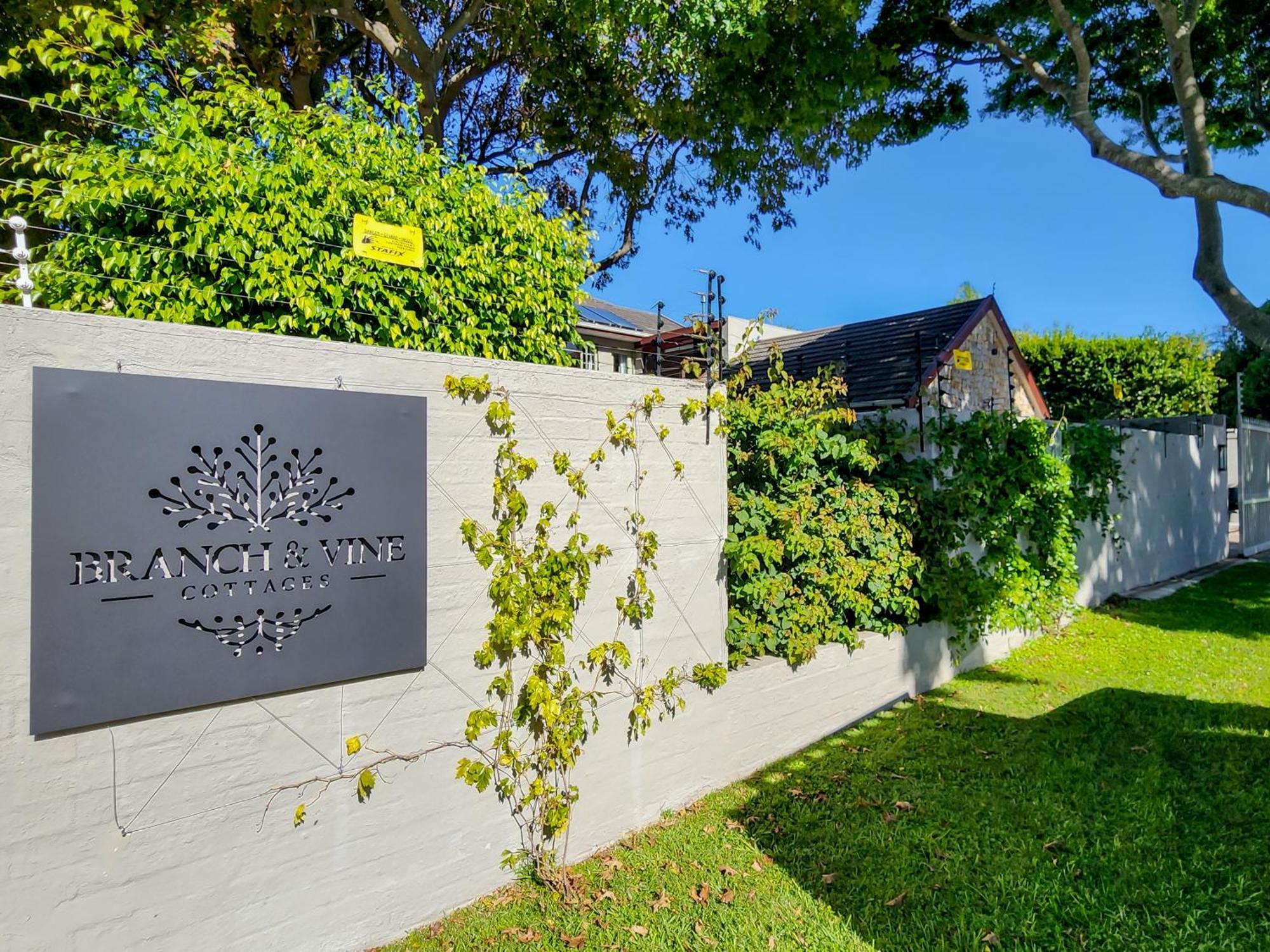 Branch & Vine Cottages - Constantia - Formerly Pinoak Cottages Kapstaden Exteriör bild